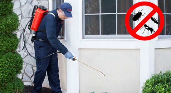Yunusemre Akrep İlaçlama böcek ilaçlama ve haşere kontrolü — ilaclama-tr.com